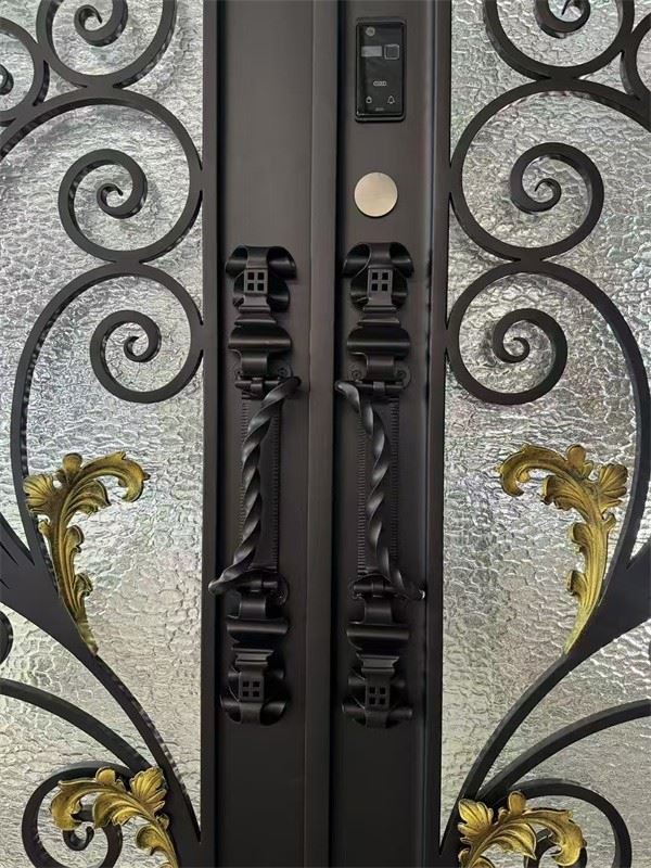 Wrought Iron Double Front Door